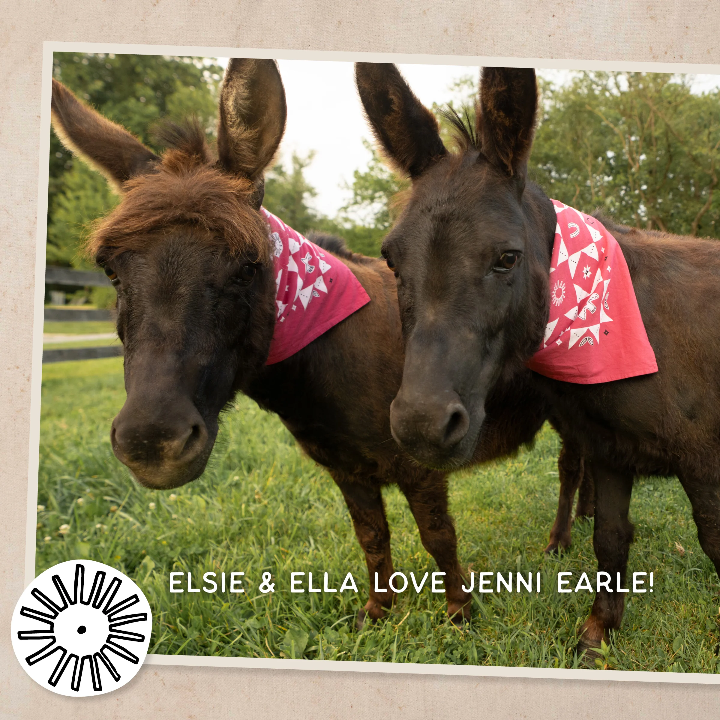 Jenni Earle Bandana - Image 5