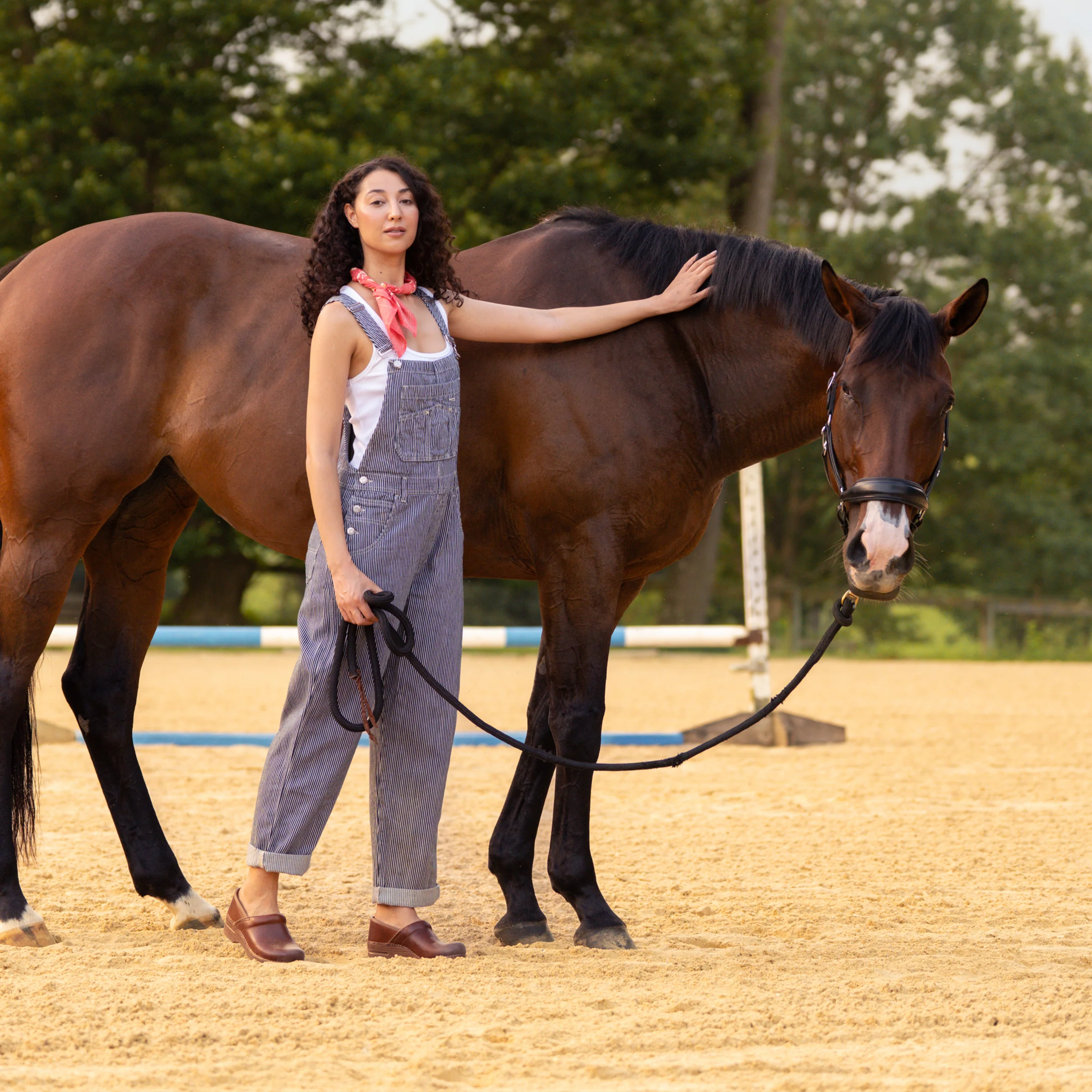 Professional Saddle Full Grain - Image 5